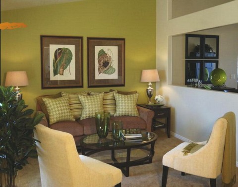 green and brown living room decor