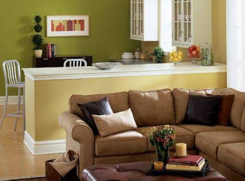 green and brown living room decor