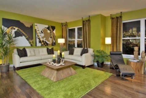 green and brown living room decor