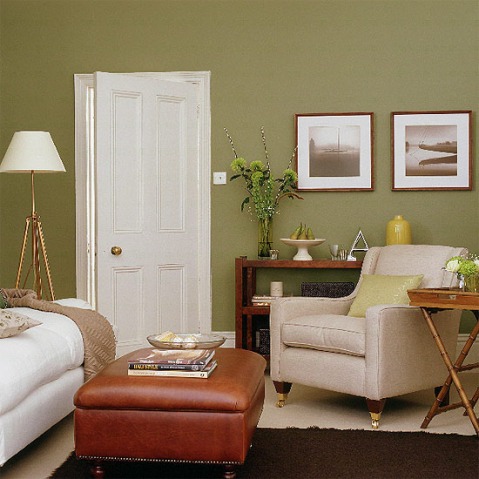 green and brown living room decor