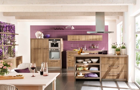 Stylish Ideas For German Kitchen Design