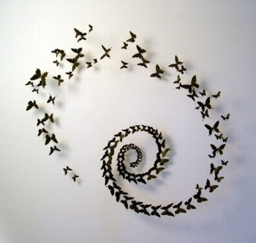 Modern Wall decor Ideas