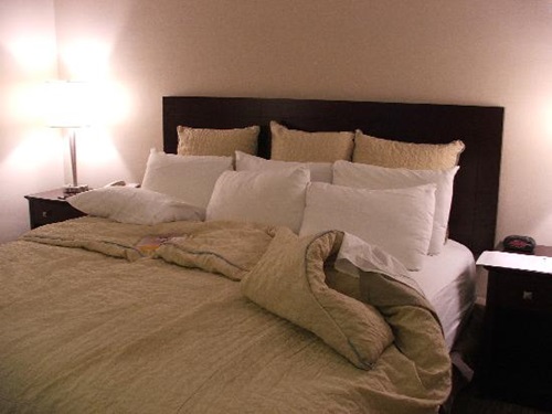 Adjustable Beds for Comfortable Life