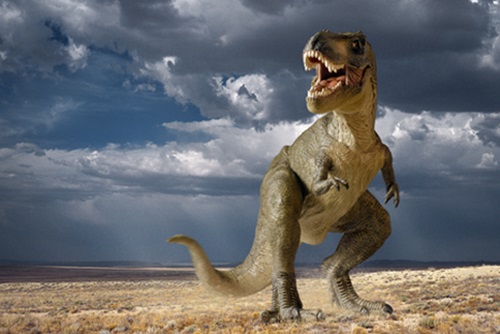 Dinosaurs wall themes for kids room