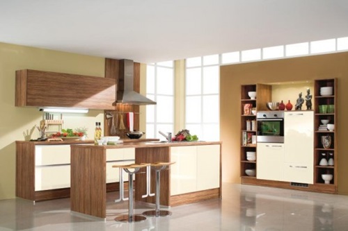 Stylish Kitchen Designs