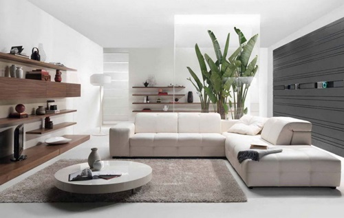 Living Room Interior Design Advantages