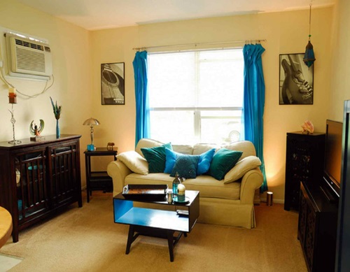 Cottage Living Room Curtain Ideas