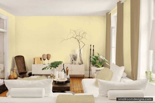 Most Popular Decorative Paint Techniques