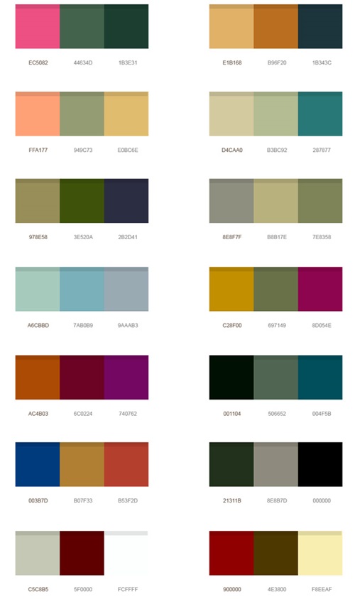The Influence of Most Popular Color Palettes