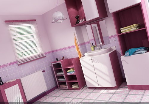 Traditional French Bathroom Designs