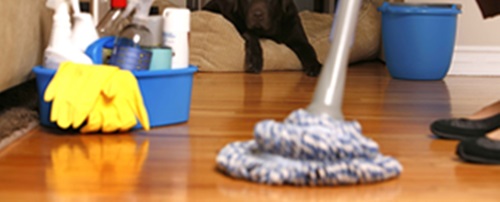 Contemporary Kitchen Sofa With Books And Magazines Storage On The Back
