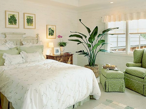 How to get an amazing bedroom for your comfort and relaxation