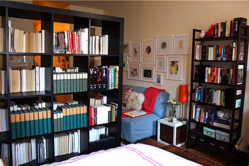 Modular bookshelves and room divider