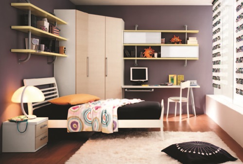 Themed Bedrooms for Teen Girls and Boys