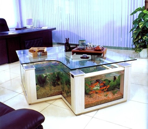 Designing a Fish Aquarium by yourself