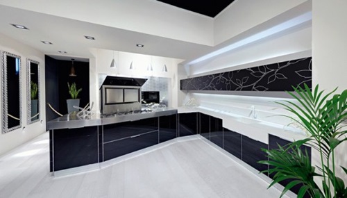 Breathtaking Glossy Black and White Kitchen Designs