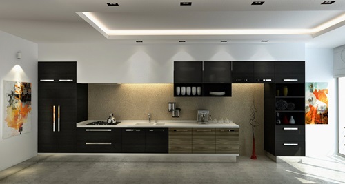 Breathtaking Glossy Black and White Kitchen Designs