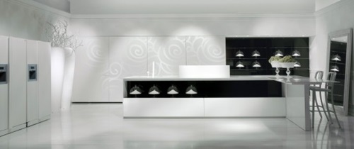 Breathtaking Glossy Black and White Kitchen Designs