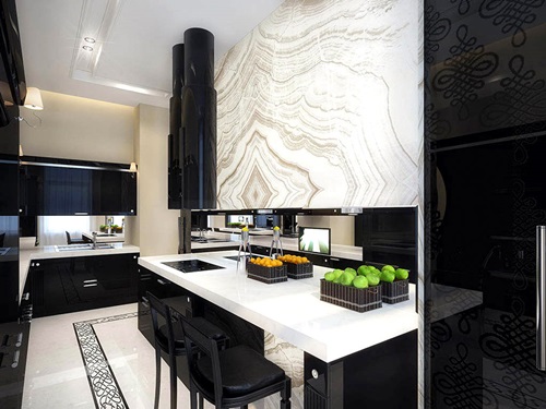 Breathtaking Glossy Black and White Kitchen Designs