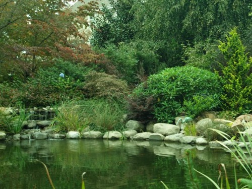 How to Clean Your Outdoor PondEfficiently