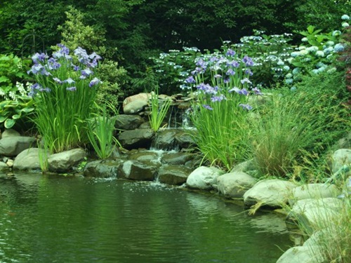 How to Clean Your Outdoor PondEfficiently