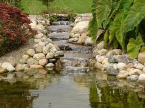 How to Clean Your Outdoor PondEfficiently