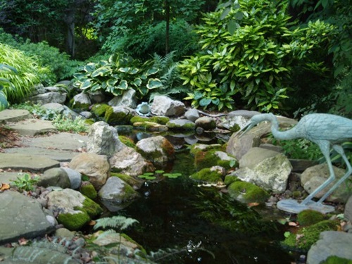 How to Clean Your Outdoor PondEfficiently