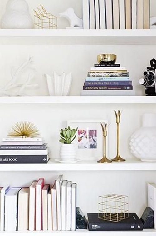 Interesting Ways to Provide Your Bookshelf a Stylish Look