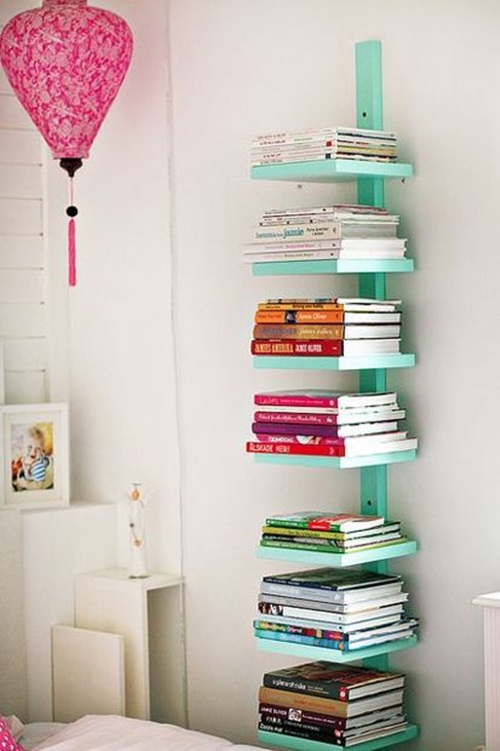 Interesting Ways to Provide Your Bookshelf a Stylish Look