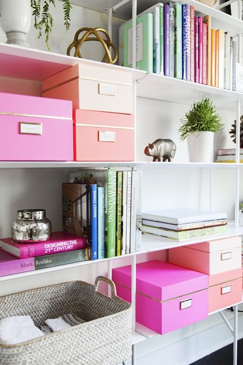 Interesting Ways to Provide Your Bookshelf a Stylish Look