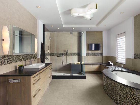 Amazing Bathroom Design Ideas with CARNEMARK Designs
