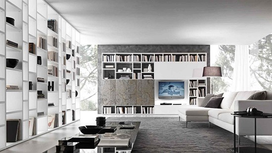 The Amazing Designs and Uses of the Bookshelves