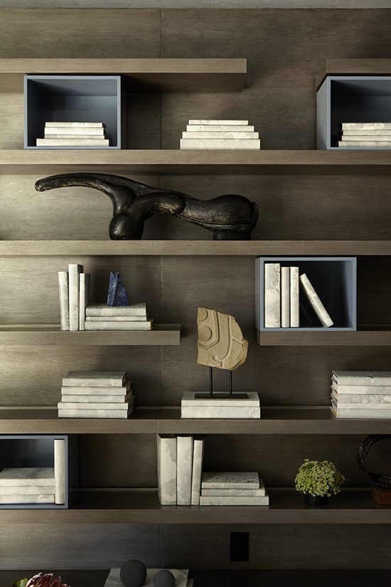 The Amazing Designs and Uses of the Bookshelves