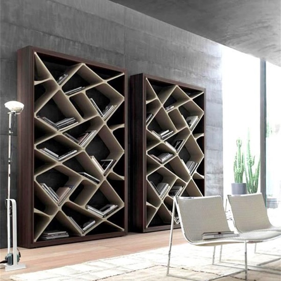 The Amazing Designs and Uses of the Bookshelves