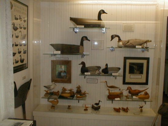 Splendid Ways to Showcase Your Vintage Collection – Say No More!